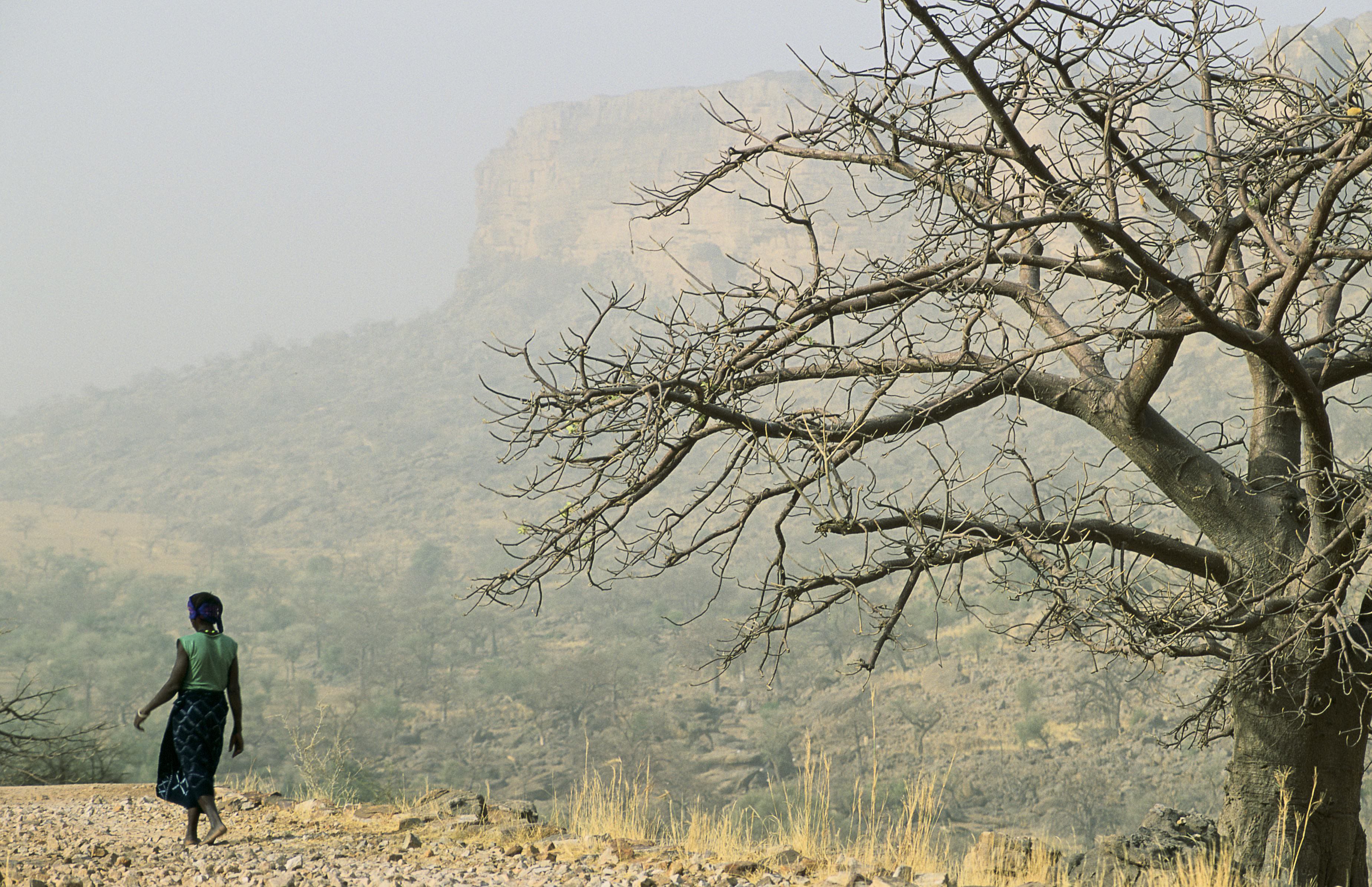 Climate Finance.