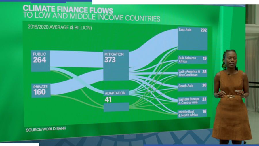 Climate Finance Flows to low and middle-income countries