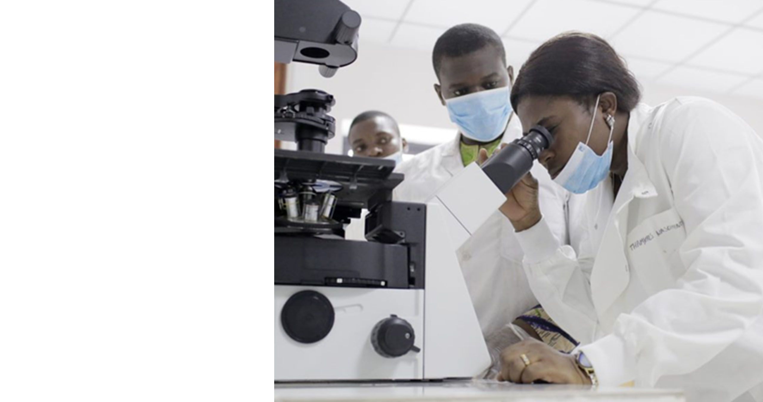 Lab technicians surround a colleague looking into a microscope.