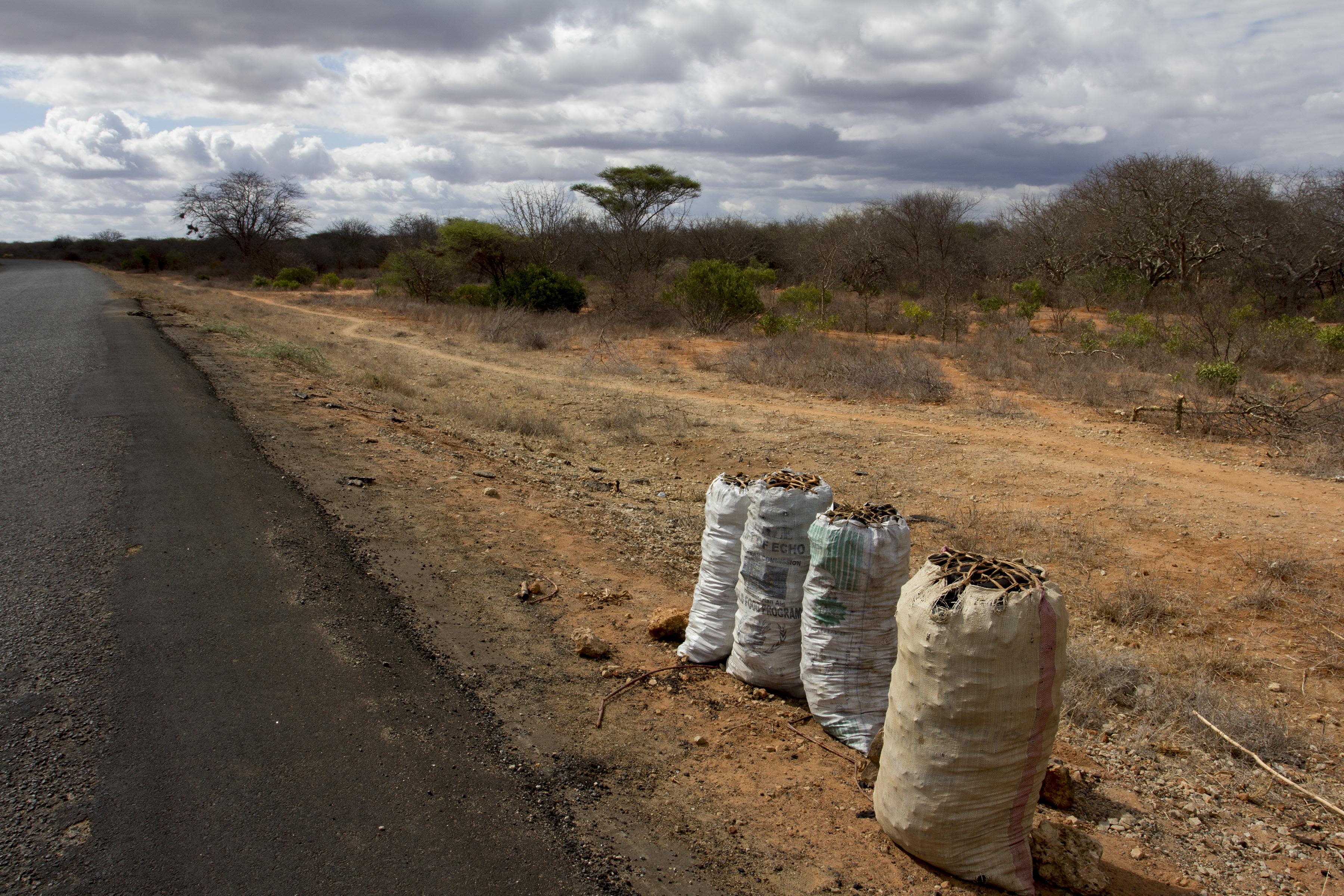 Charcoal for sale, some in food aid bags, during the 2011 drought in Kenya. The tree-based fuel provides income for farmers when their crops fail.