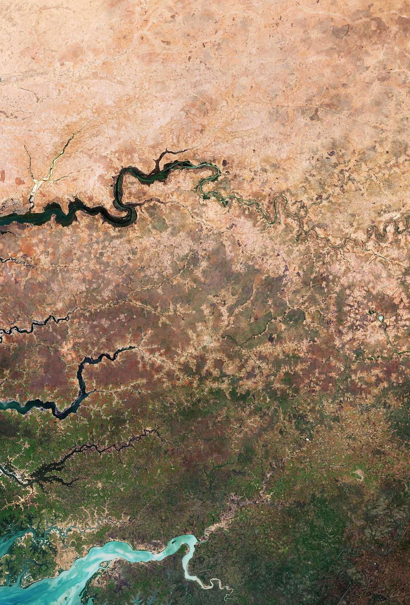 Captured by satellite imagery, this image shows the edge of the dry desert in west Africa contrasted with vegetated land. Signs of land degradation can be seen around villages and to a lesser extent along roads and rivers showing bare soil and degraded vegetation. The image shows parts of three African countries: Senegal, The Gambia and Guinea-Bissau. Credit: European Space Agency