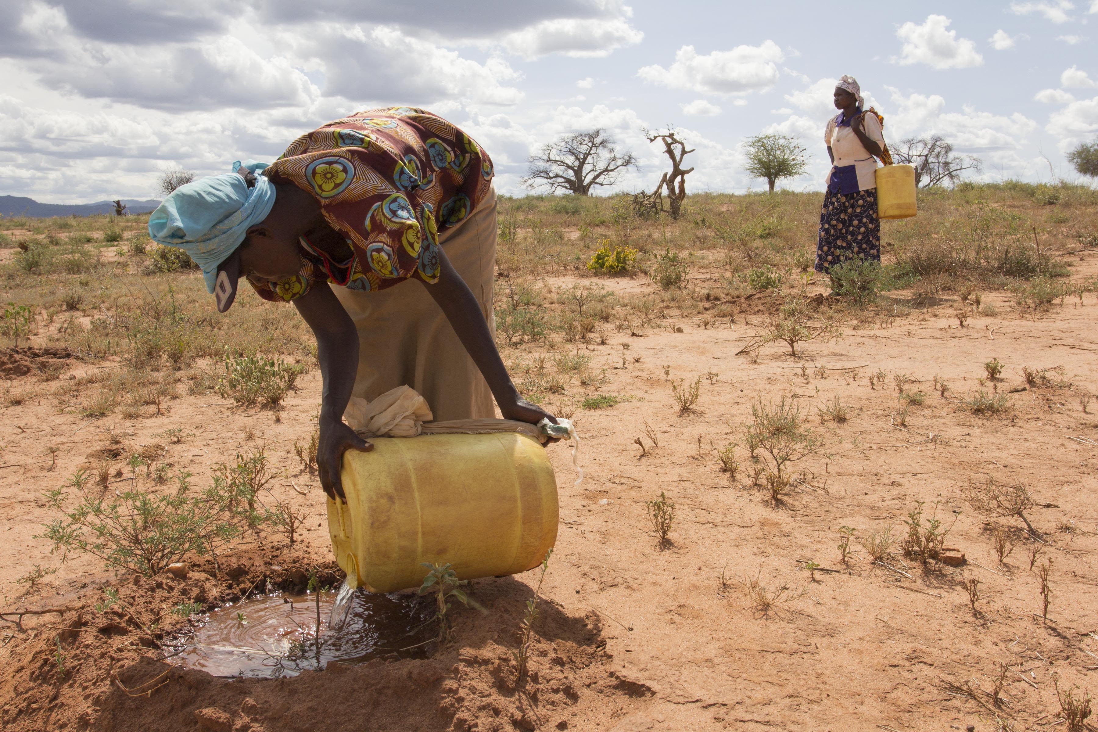 Women watering mukau sapplings in Kenya's arid Eastern Province.
