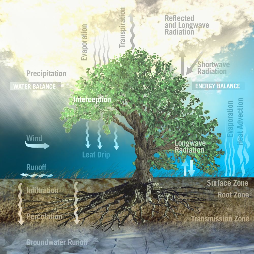 Image Credit: ESA–AOES Medialab.  Soil moisture plays an important role in agricultural monitoring, drought and flood forecasting, forest fire prediction, water supply management, and other natural resource activities. Soil moisture observations can forewarn of impending drought or flood conditions before other more standard indicators are triggered. Source: NOAA | NIDIS