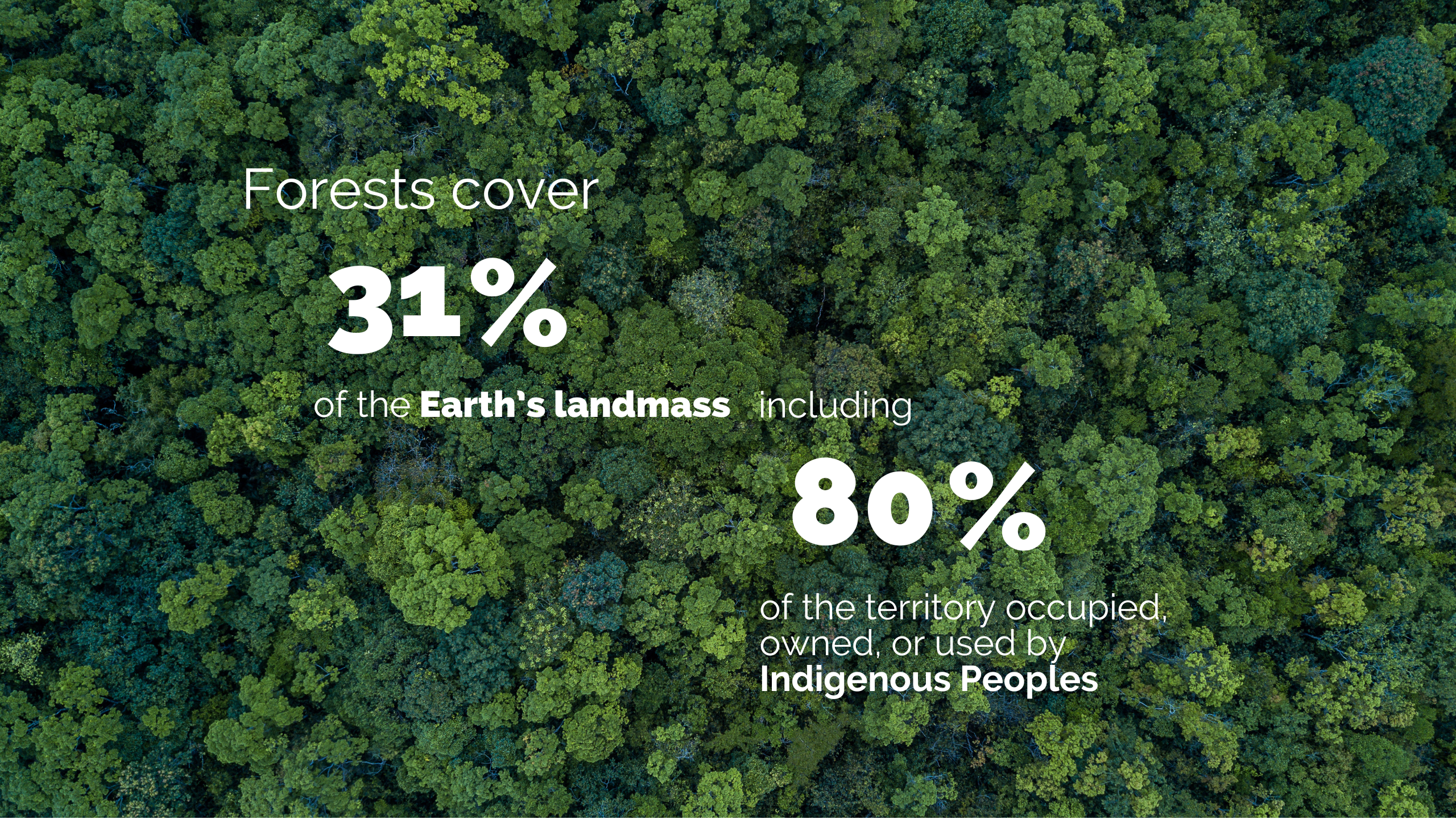 Cairo Road - Wikipedia, image size:2560x1440