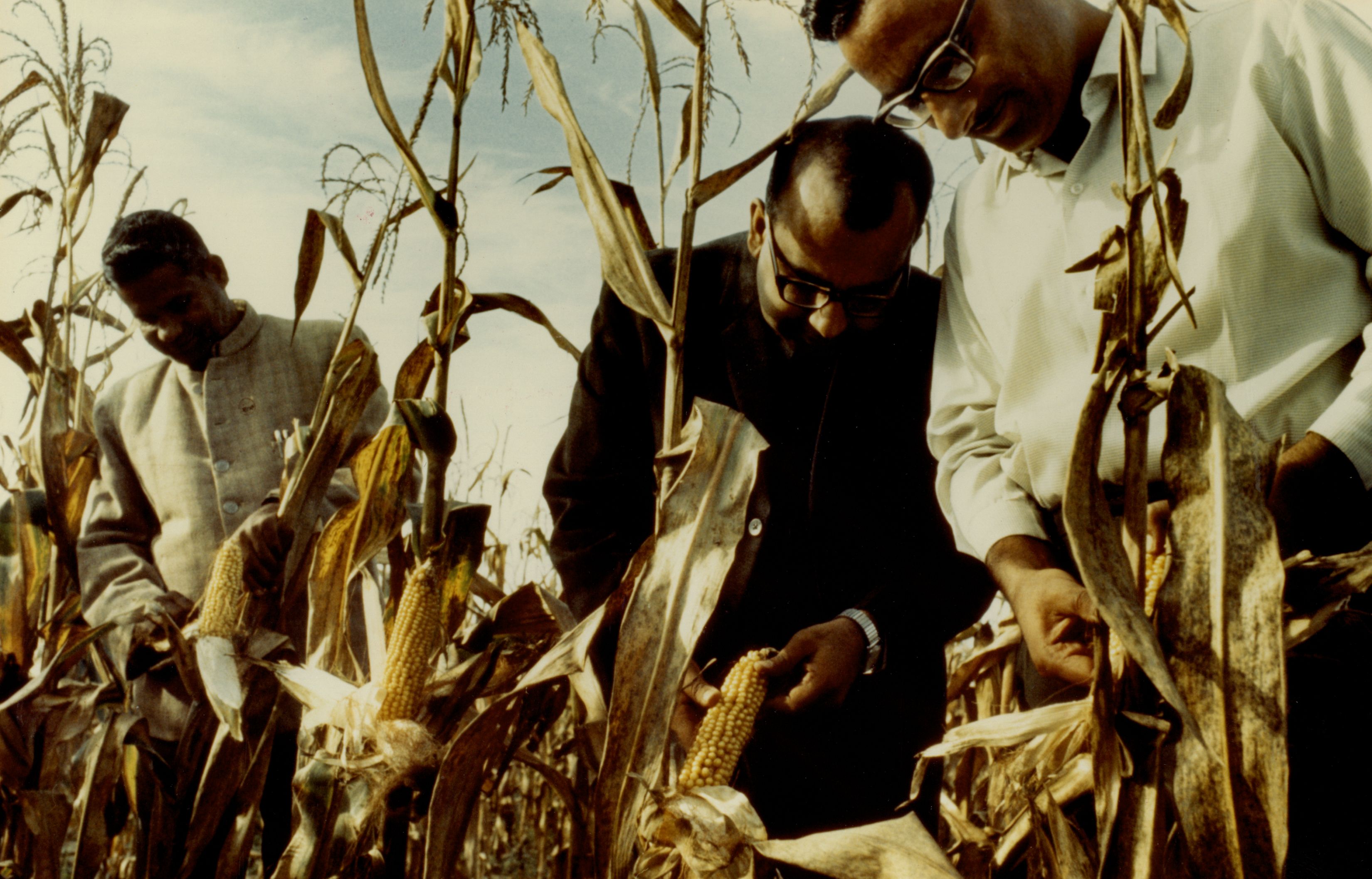 Agriculturists examining maize crop, India. World Bank. CC BY-NC-SA 4.0 DEED