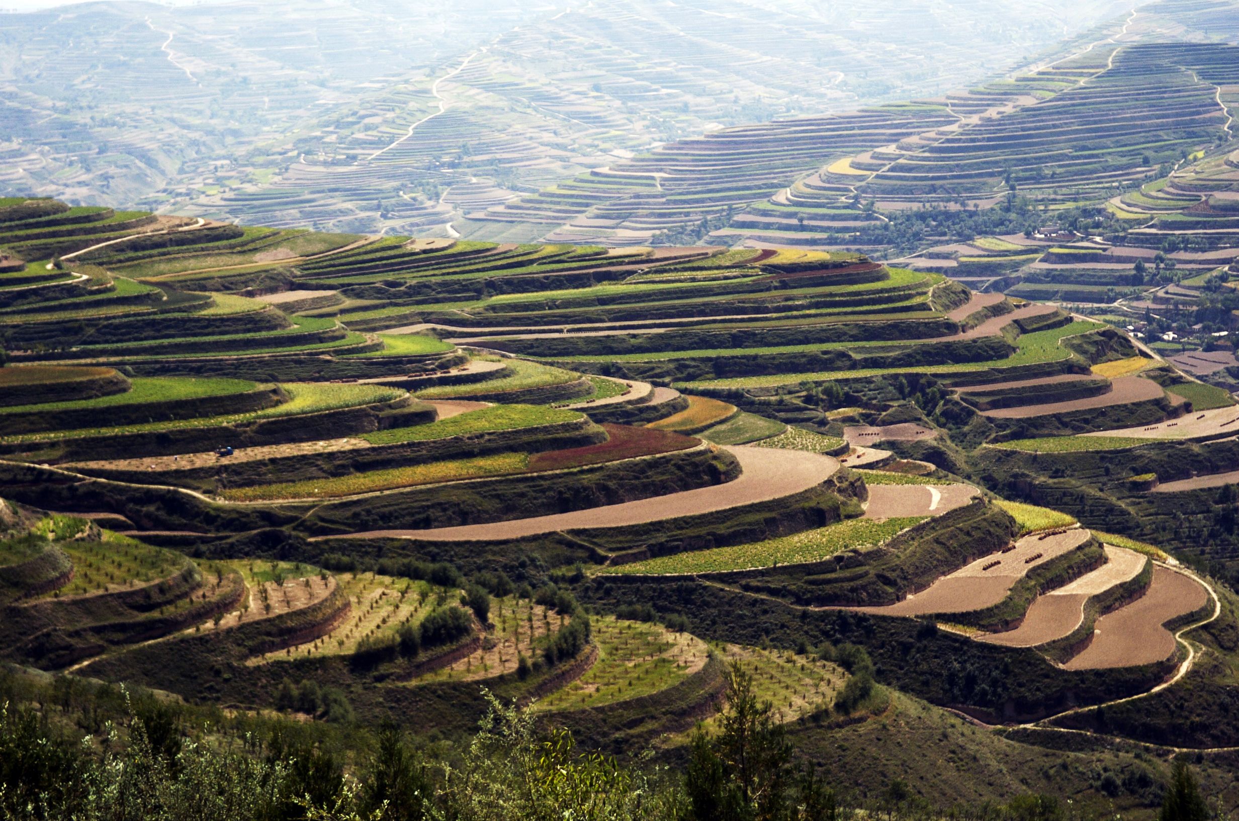 Loess Plateau watershed rehabilitation project, China. China country office, World Bank. CC BY-NC-SA 4.0 DEED