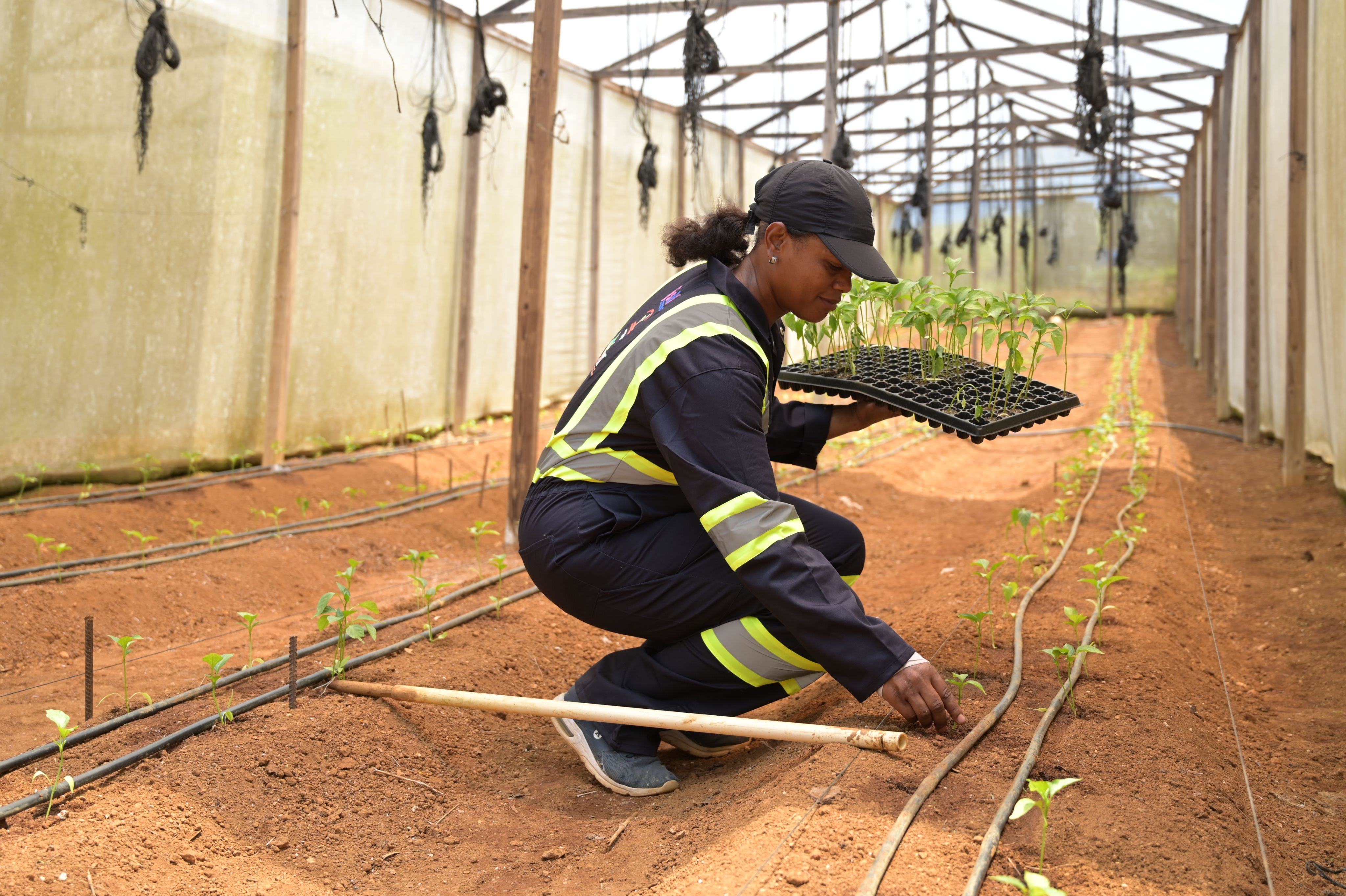 Jobs: Unlocking Women's Economic Potential and Boosting Economies