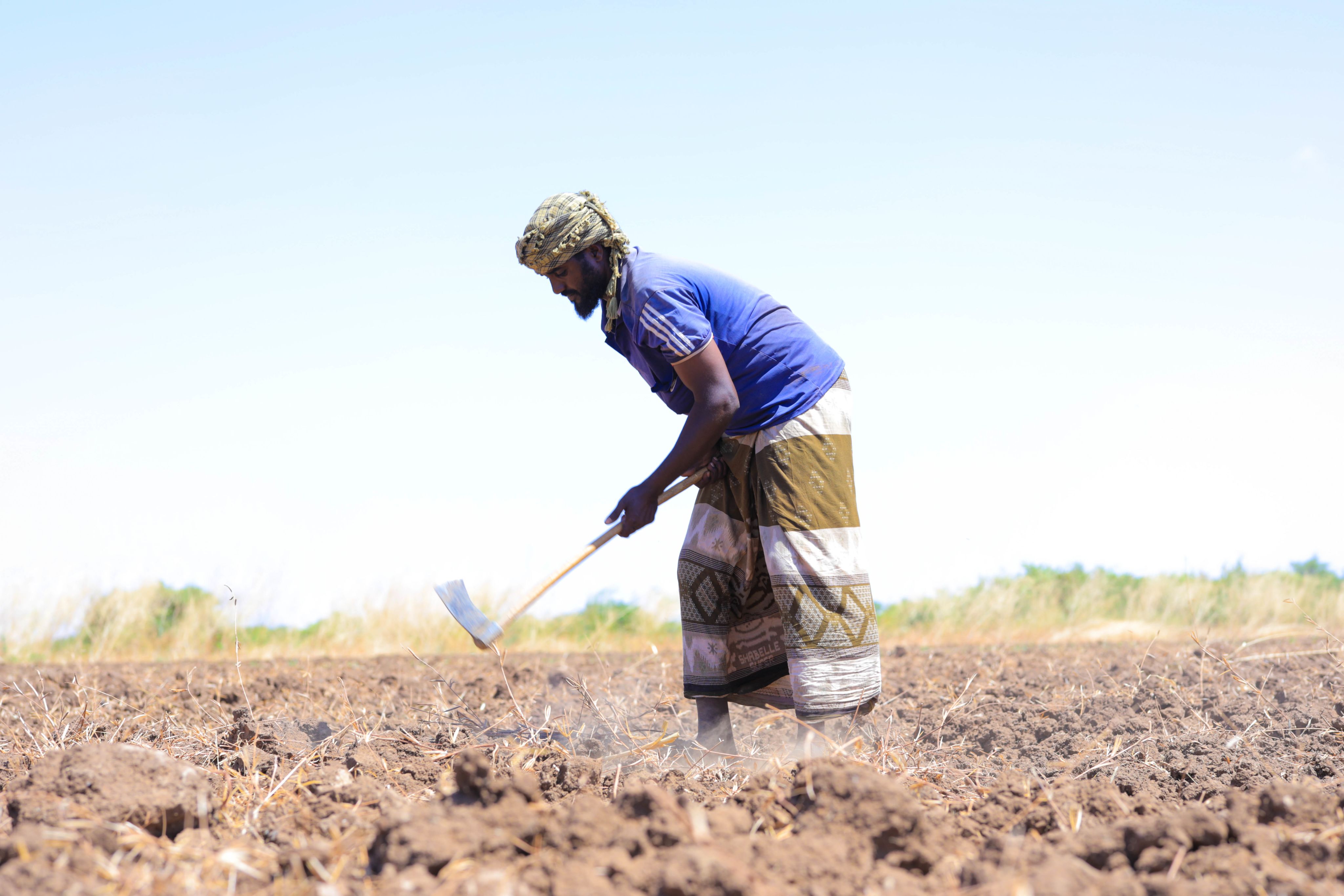 A person in a blue t-shirt and patterned skirt is working the soil with a hoe in a field under a clear sky.