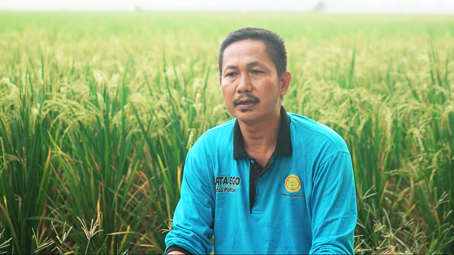 Close up photo of Indonesian rice farmer