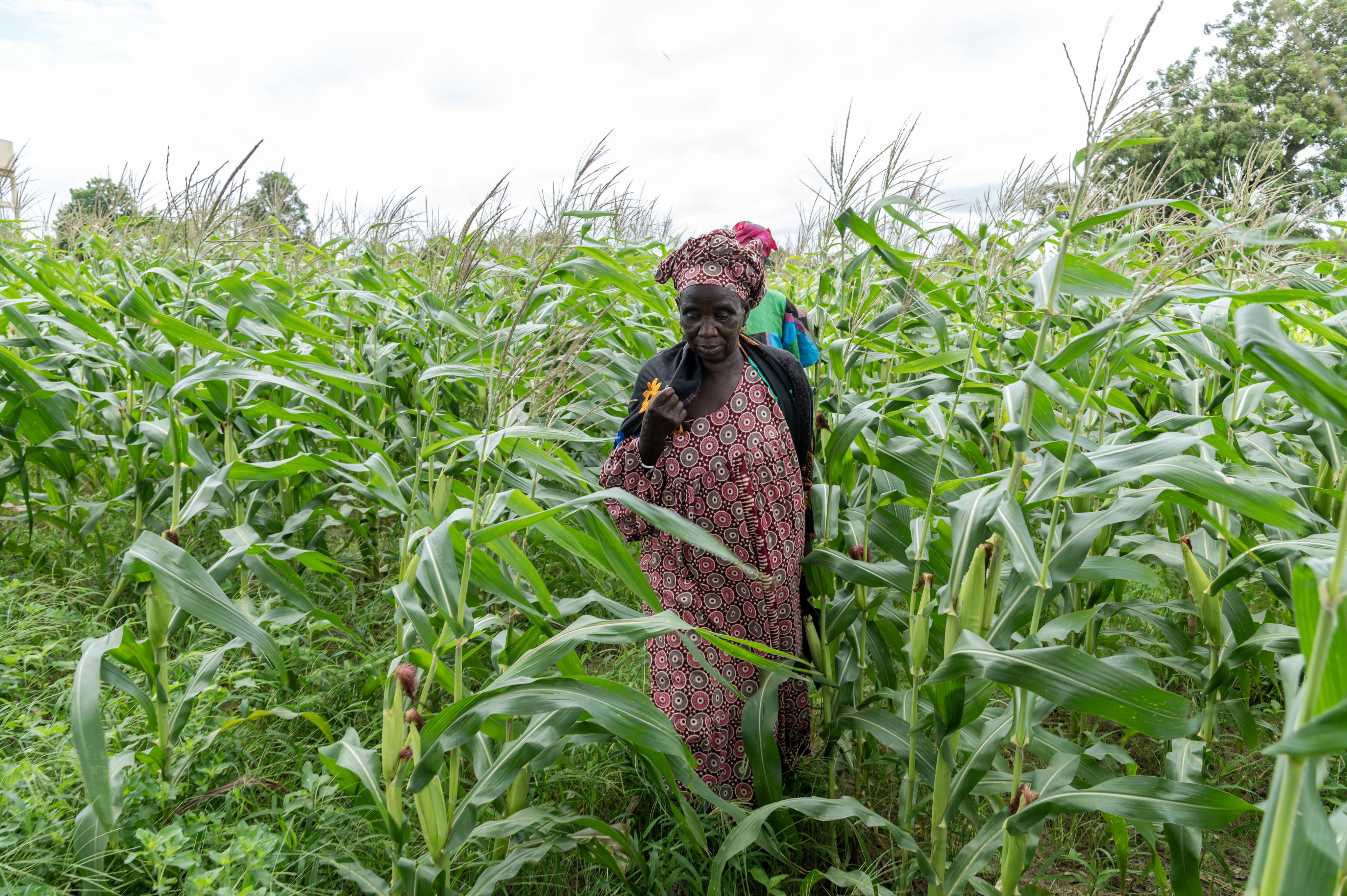 Una agricultora senegalesa muestra su última producción agrícola