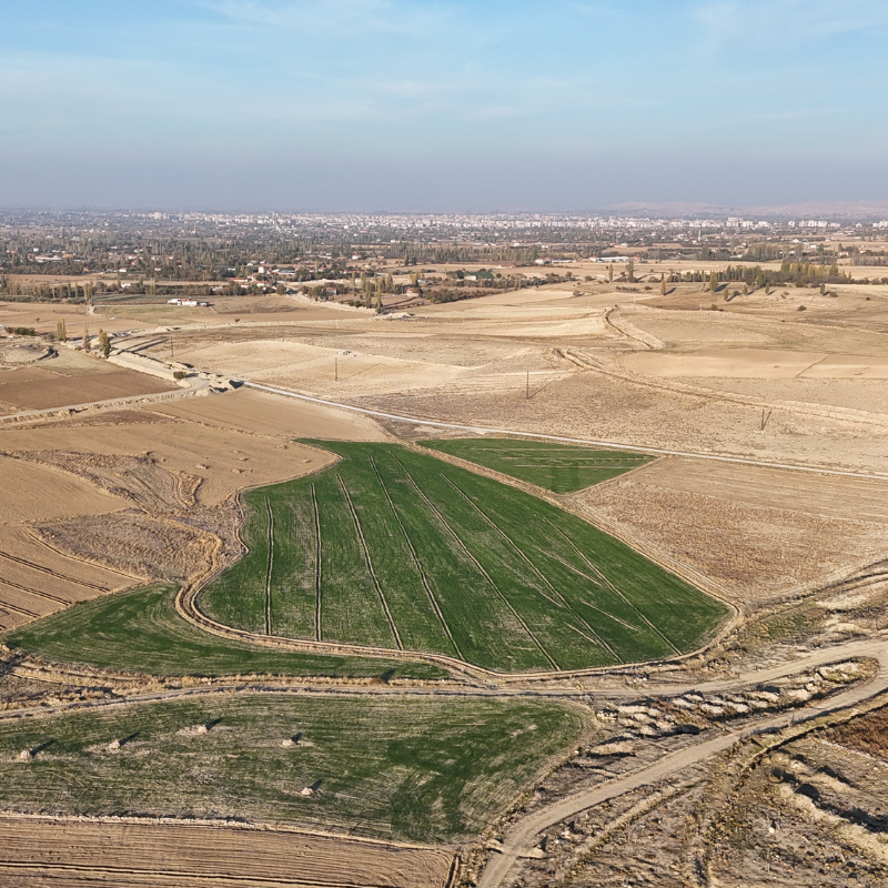 A drone photo of green agricultural fields in Turkey