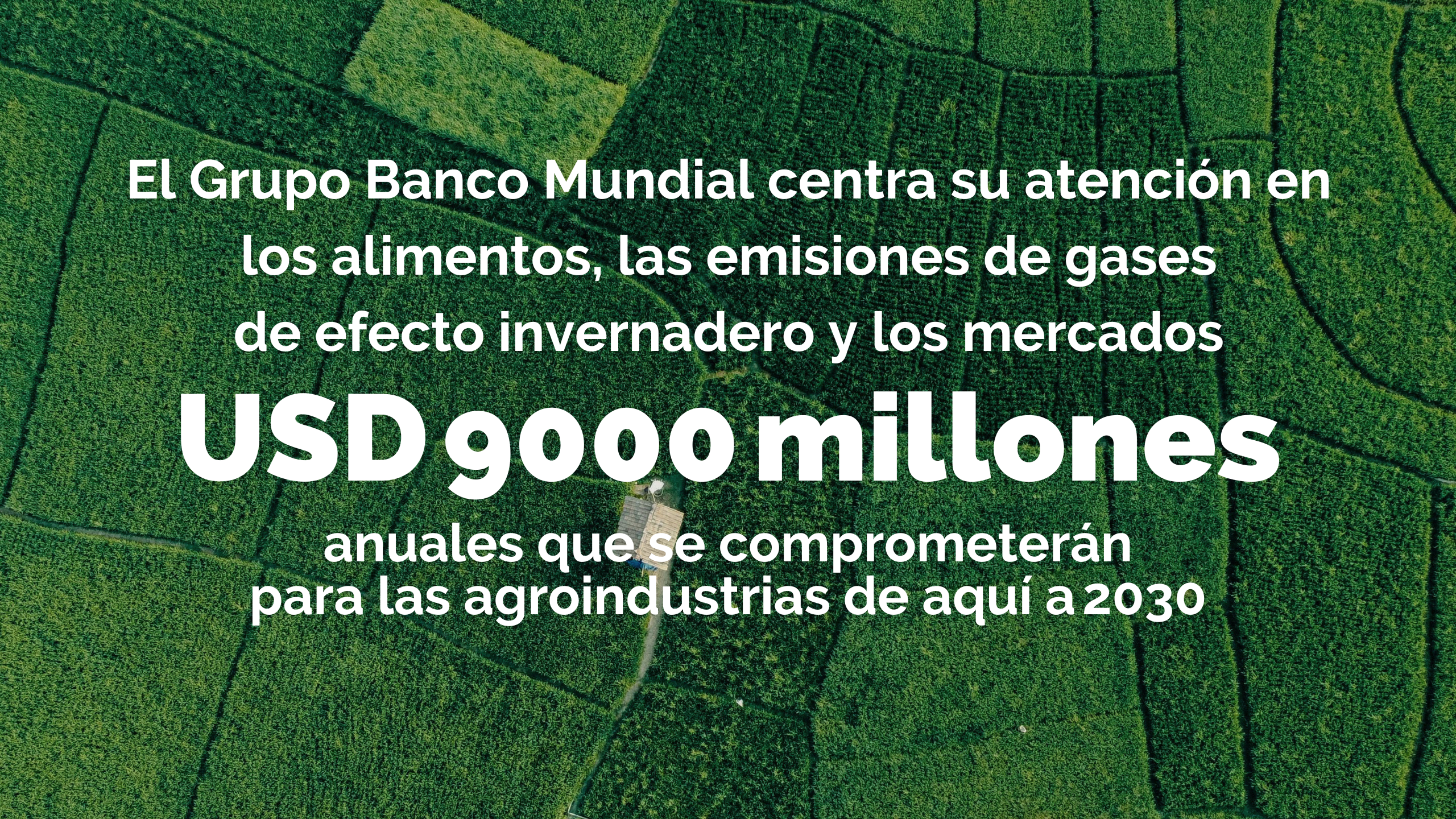 Tierras agrícolas