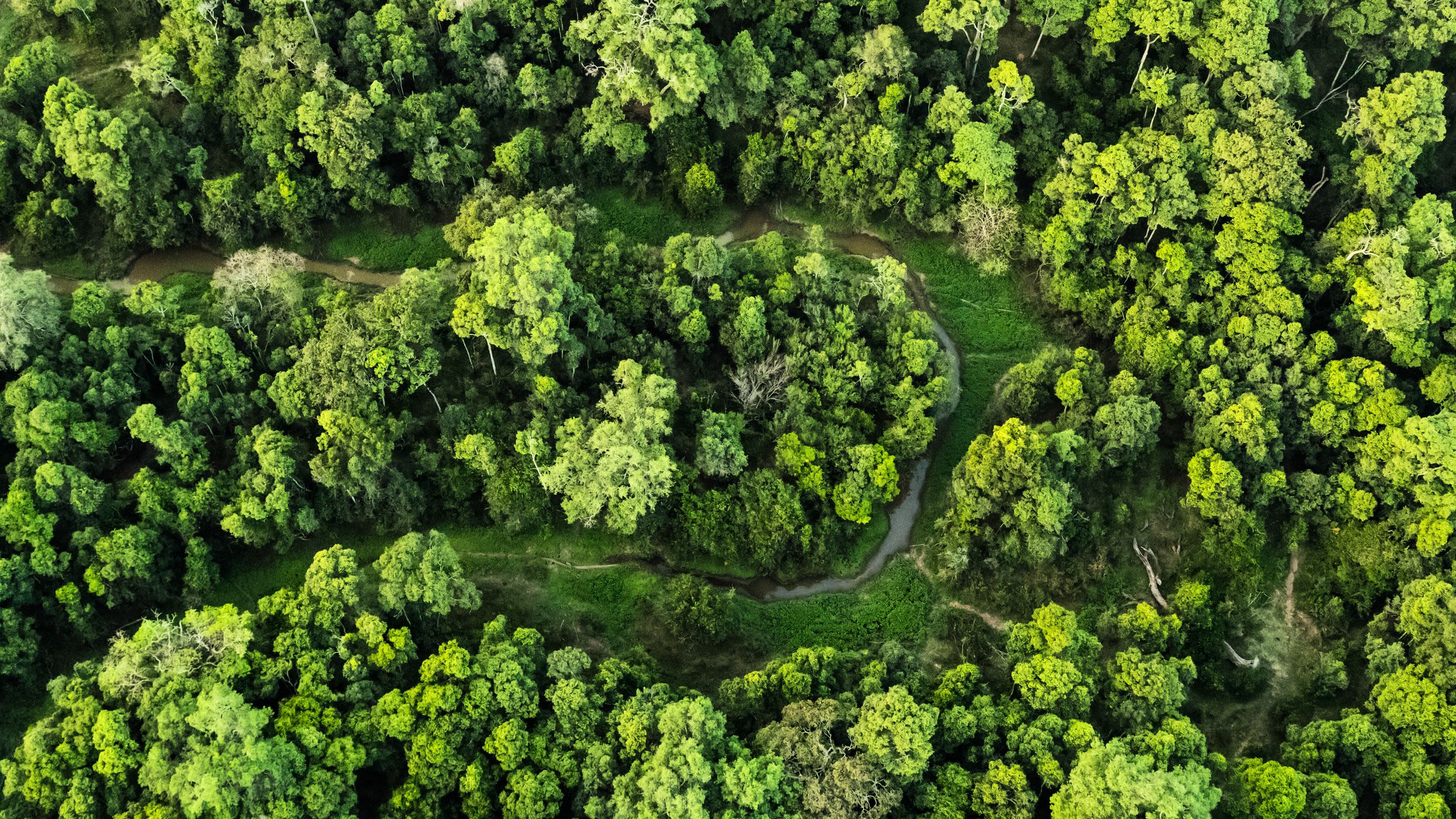 Foto: Rixie/Adobe Stock