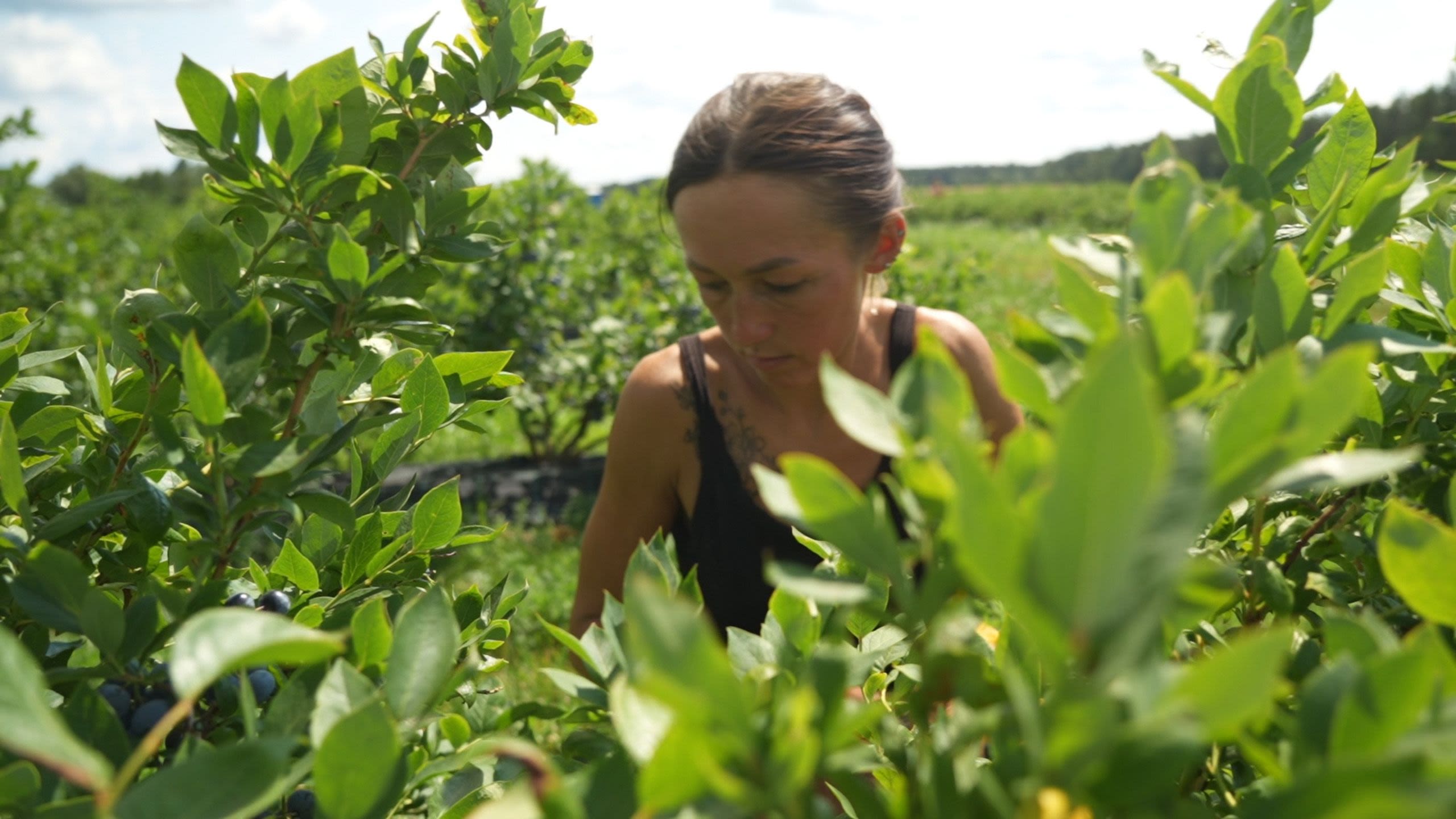 Agricultora ucraniana cuidando sus cultivos.