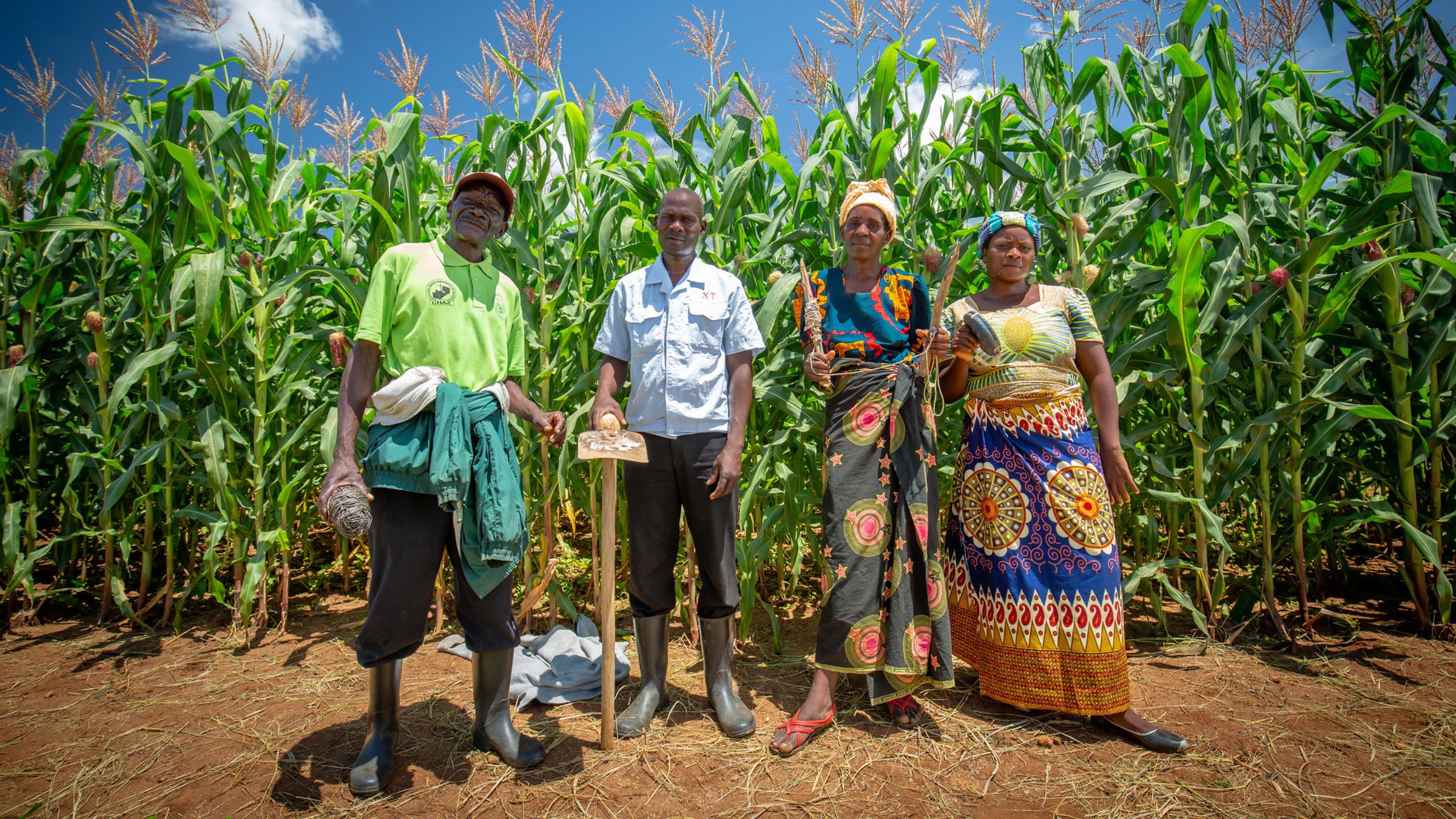 Agricultores zambianos