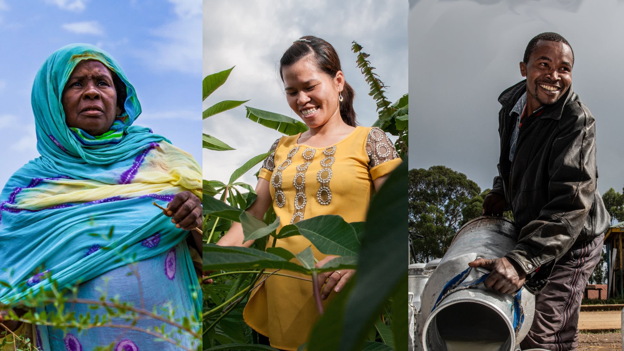 Collage fotográfico de varias personas que trabajan en el sector agrícola y alimentario.
