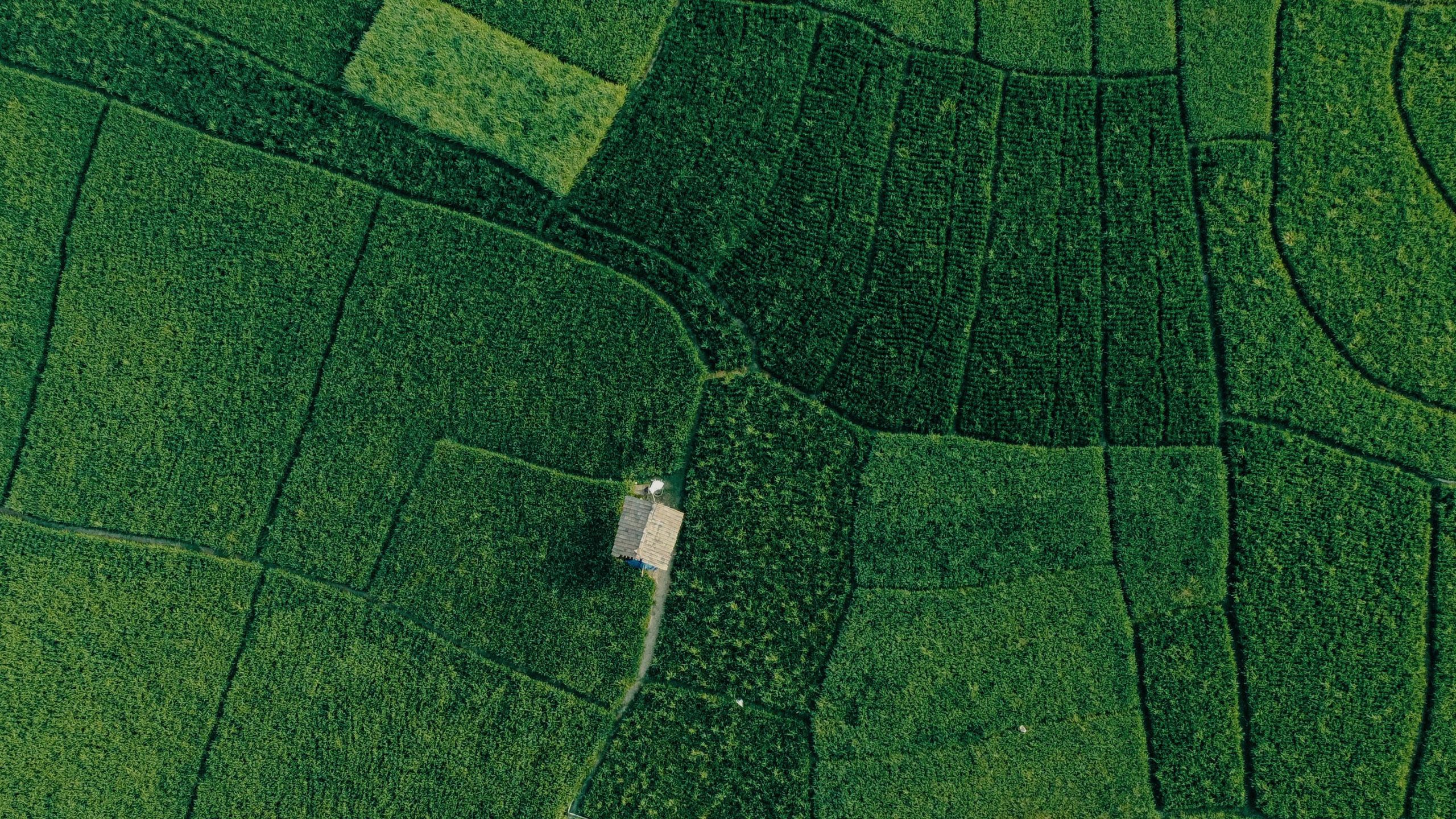 Agriculture land