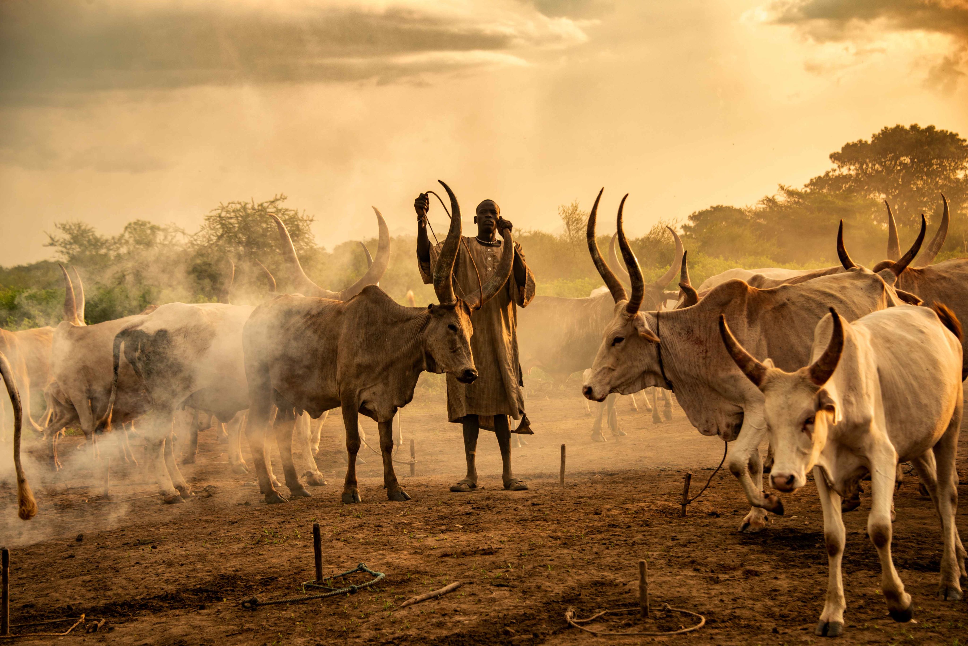 A young pastoralist in the middle of a cattle camp in South Sudan.