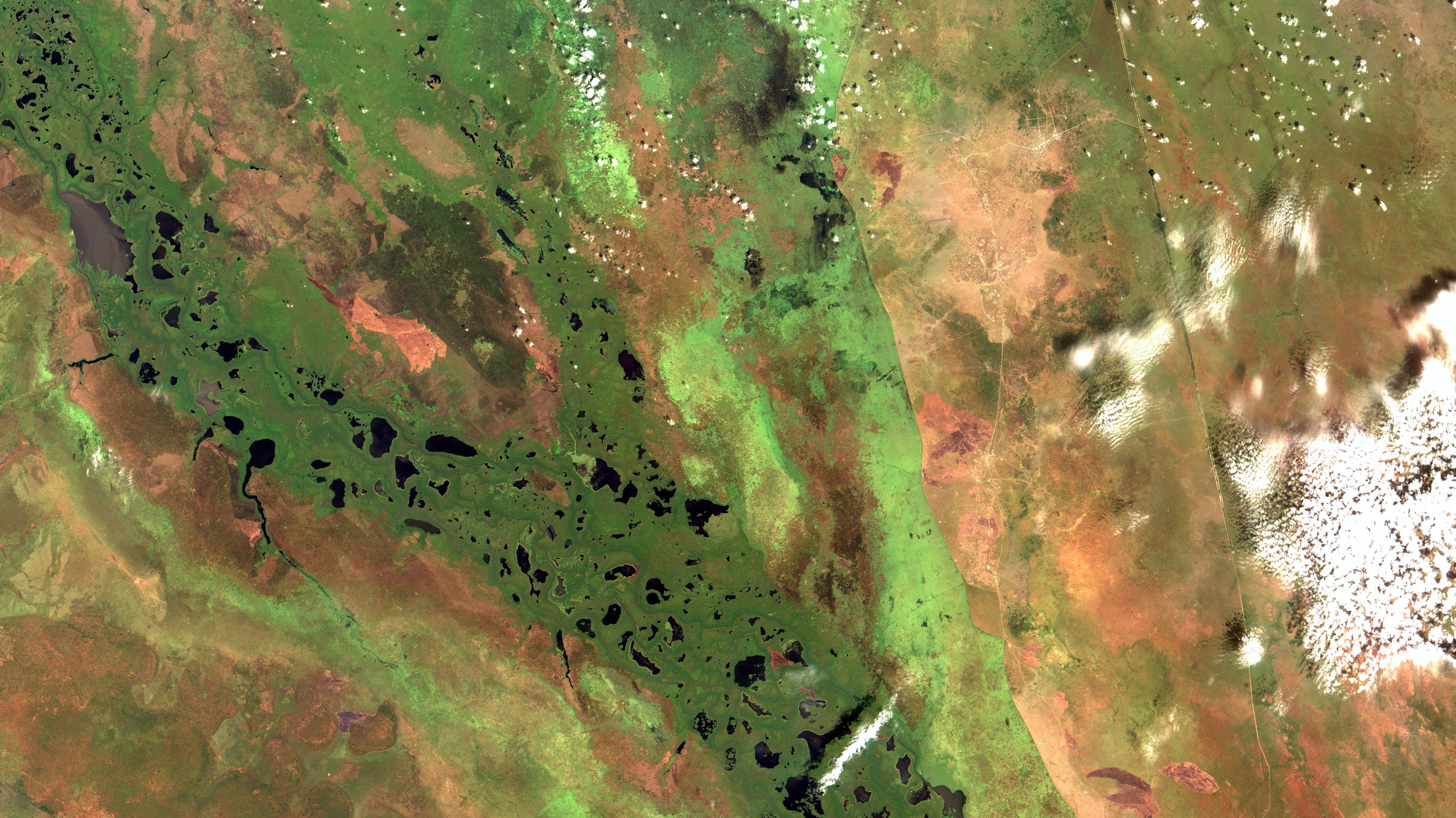 Satellite imagery of the southern part of the Sudd wetland, in South Sudan. In black color the open water surface of the lakes. Crossing the image diagonally, in brown, the White Nile and tributaries. In dark green, in the flooded floodplain, mainly large grasses and sedges (reeds).