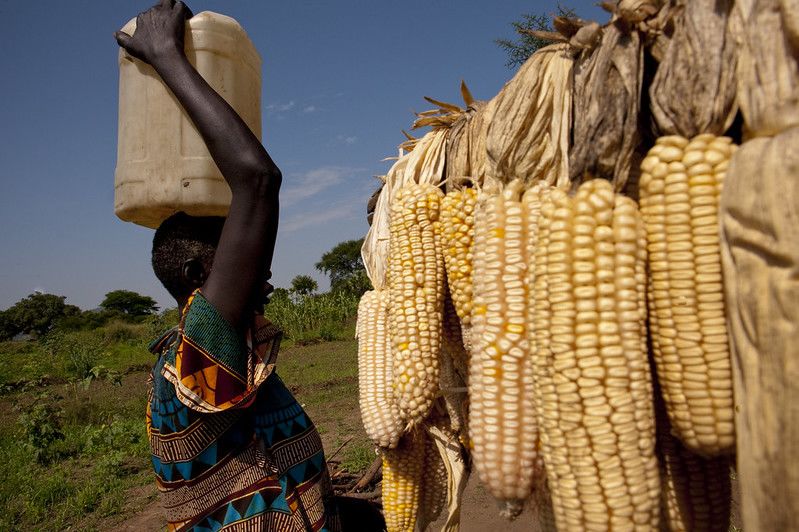 A young woman fetches water at a borehole the village of Bilinyang, near Juba, South Sudan.